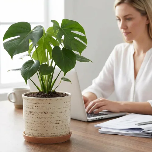 Vista 63 de Macetas de 5.8 pulgadas: maceta de cerámica con orificio de drenaje y platillo - Maceta para plantas de interior y exterior - Diseño con cuentas