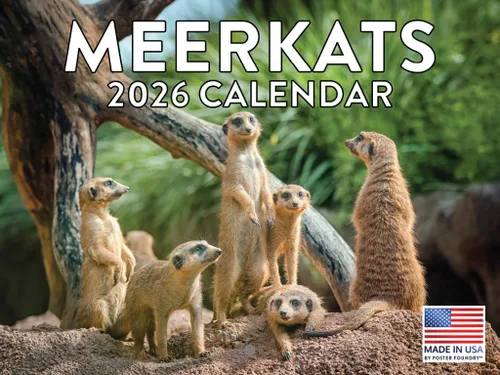 Vista 162 de Calendario de Cocodrilo 2026 Calendario de Pared Mensual 12 Meses Fabricado en Estados Unidos