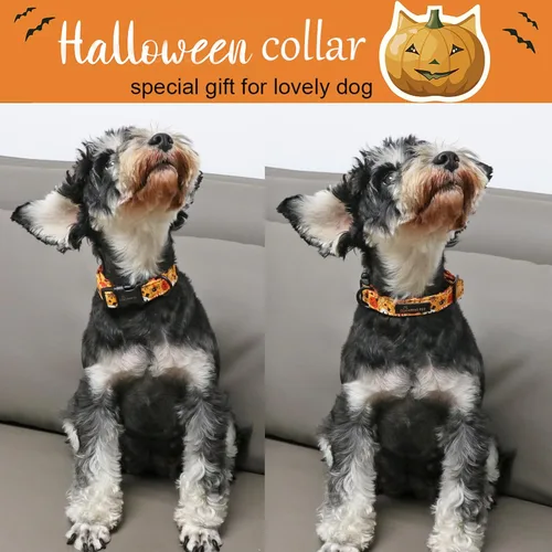 Vista 200 de Aring Pet Collar de algodón, ligero y ajustable, con hebilla de liberación rápida para perros pequeños, medianos y grandes, para cachorros, XS