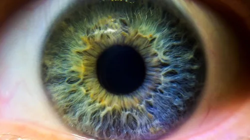 Vista 2 de 10 lentes de alta definición de 2 elementos de primer plano (Macro) para Nikon, Canon, Sony, Panasonic, Fujifilm, Pentax y Olympus DSLR (1.457 in)