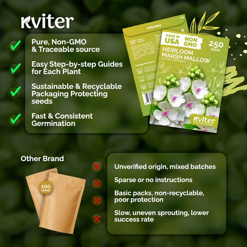 Vista 34 de KVITER 700 semillas de bálsamo de limón para plantar (Melissa Officinalis) - Semillas de hierbas medicinales orgánicas y tradicionales - Cultivar