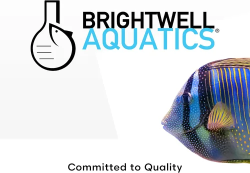 Vista 7 de Brightwell Aquatics Zooplanctos-M - Suplemento alimenticio de zooplancton para acuarios marinos y de arrecife, 2-l
