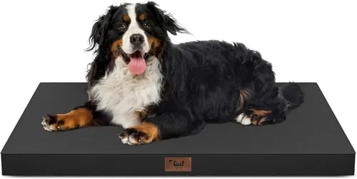 Vista 75 de Cama para perros y gatos pequeños, impermeable, para jaula de huevos, espuma ortopédica con funda Oxford lavable y extraíble, color verde Amy