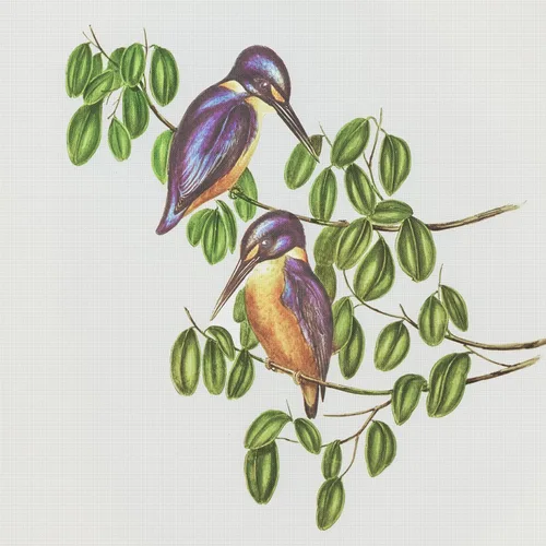 Vista 4 de Canguros australianos John Gould Counted Patrón de punto de cruz