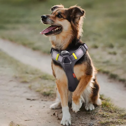 Vista 6 de Fida - Arnés resistente para perro, pechera para viaje, campamento o senderismo. Para perro pequeño, mediano y grande, con 2 bolsillos laterales