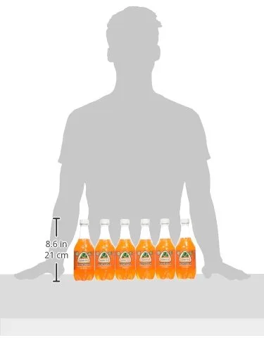 Vista 4 de Jarritos Bebida, mandarina, 16.9 onzas (paquete de 24)