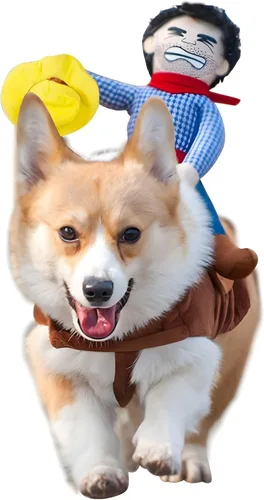 DELIFUR Disfraz de Halloween para Perro Divertido Disfraz de Perro Vaquero Montando Disfraz para Mascota Traje Ajustado Estilo Jinete Vaquero para