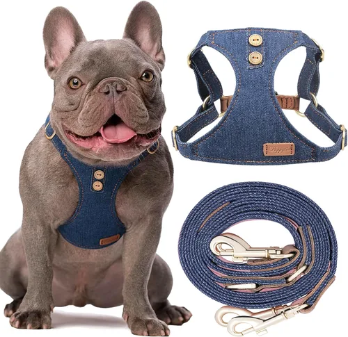 Arnés sin tirones para perro, con correa multifunción, pechera suave y ajustable para mascota, no ahorca, chaleco a prueba de escape, azul vaquero,