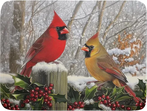 Vista 143 de Tapete de secado de platos con diseño de pájaro rojo de Feliz Navidad, absorbente y de secado rápido, protector para encimera de cocina, 18 x 24