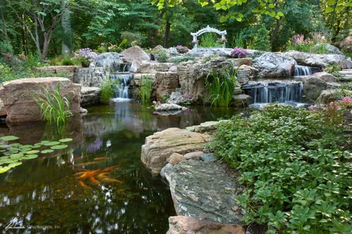 Vista 6 de Aquascape Kit de estanque AquaGarden y tratamiento de agua desintoxicante de cascada