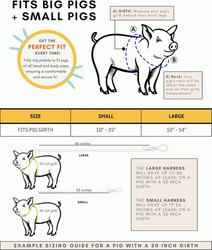 Vista 8 de PORCINE® Arnés y correa para mini cerdo (S/M) – Totalmente ajustable, correa de estilo infinito, arnés de paso, suministros de barriga, todo en uno