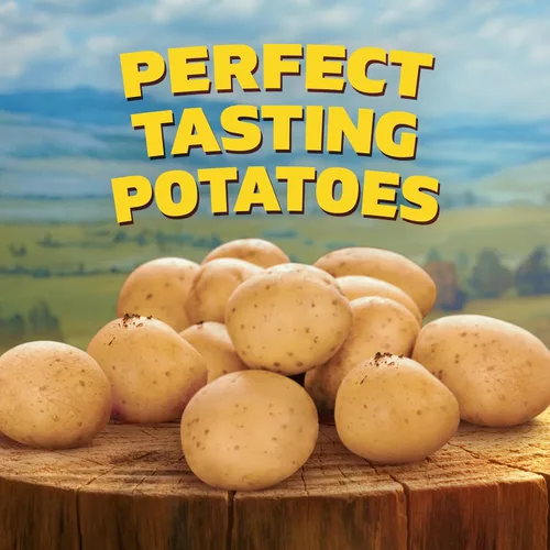 Vista 7 de Ore-Ida Crispy Tater Tots Patatas congeladas ralladas sazonadas, bolsa de 32 onzas