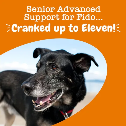 Vista 32 de Zesty Paws Multivitamínico para perros, vitaminas masticables para perros y suplementos para cadera y articulaciones, piel y pelaje, aceite