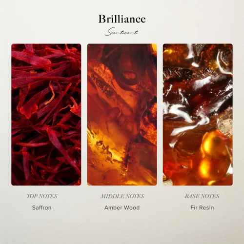 Vista 3 de Kit de Descubrimiento de Aceite Difusor de Diseño Scentiment – Los 3 Mejores Aromas de Lujo Aceites de Fragancia de Aromaterapia para Hogar