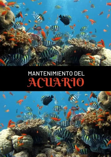 Mantenimiento del Acuario Este cuaderno te permitirá llevar un registro completo del mantenimiento y la limpieza de tu acuario Formato A4 - 117 ...