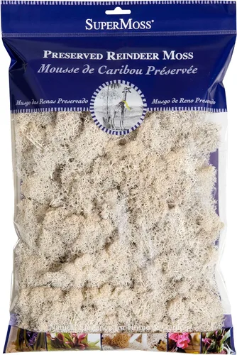 SuperMoss (23193) Musgo de reno preservado, blanco, bolsa de 8 onzas