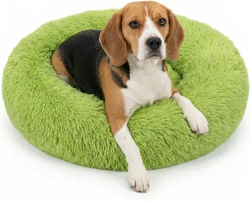 Vista 46 de Cama para perros pequeños, cama calmante para perros pequeños, antiansiedad, cama para cachorros, lavable a máquina, esponjosa, de lujo