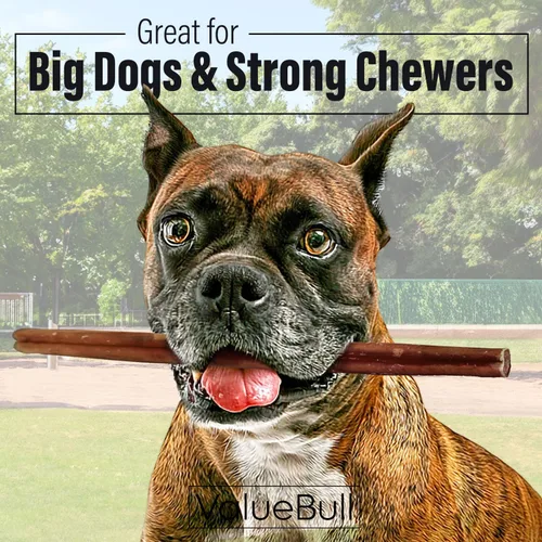 Vista 2 de ValueBull Bully Sticks para perros, gruesos de 12 pulgadas, 25 unidades, golosinas naturales para perros, 100% carne de res, un solo ingrediente