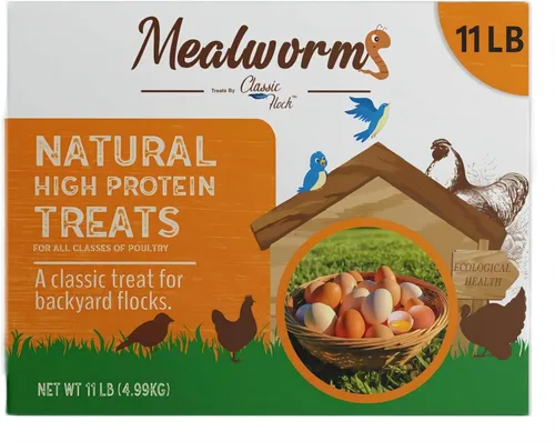 Gusanos de harina secos de 11 libras Alto en proteínas, puro natural, delicioso, ideal para pollos, pájaros, patos, lagartos, tortugas, peces y