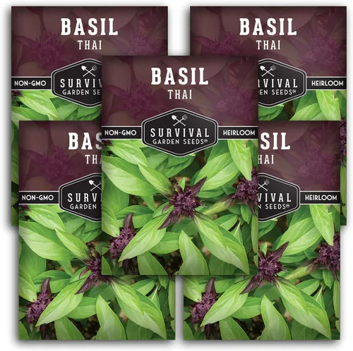 Vista 12 de Semillas de albahaca tailandesa para plantar – Albahaca dulce tailandesa con sabor a anís para cocina asiática – Semillas de hierbas tradicionales