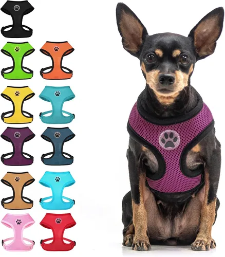 Vista 13 de BINGPET Arnés para perro sin tirones, arnés de chaleco tipo step-in de malla para todo clima para perros pequeños, arnés de malla transpirable