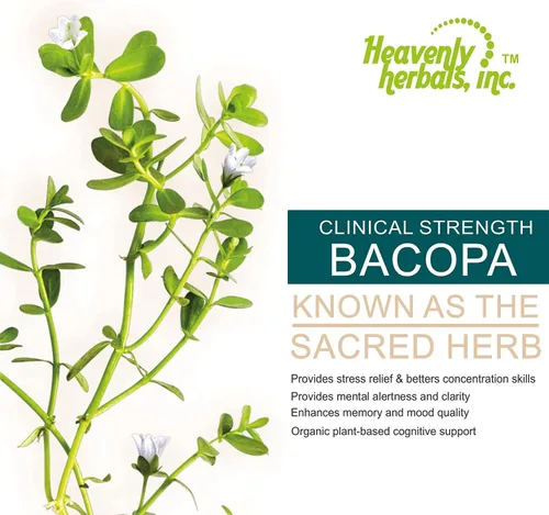 Vista 3 de Bacopa Drops - Mejora la concentración de memoria, enfoque - Extracto de Bacopa Monnieri Suplemento cerebral Suplemento de memoria Mejora