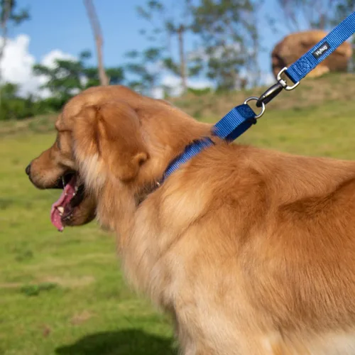 Vista 6 de Collar Hyhug Pets de nailon resistente cómodo y seguro para entrenamiento profesional martingala uso diario para caminar antiescape para cachorro L