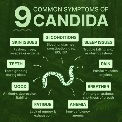 Vista 3 de Candisite Candida Cleanse Fórmula avanzada 10 en 1 - Ajenjo, nogal negro, PAU D'Arco Apoya el equilibrio digestivo y microbiano Soporte