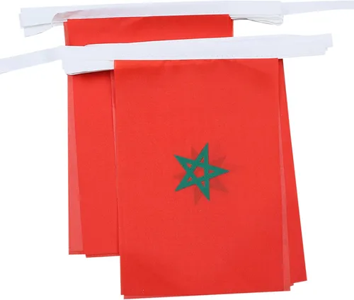 Vista 276 de Guatemala 19.7 ft BUNTING Flag 20 banderas 9'' x 6'' - Banderas de cuerda guatemalteca 5.9 x 8.3 in - AZ FLAG