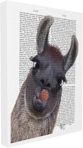 Vista 11 de Stupell Industries Novela clásica Drama Llama, diseño de Fab Funky Arte de pared, 11 x 14, enmarcado negro
