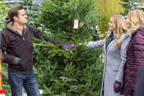 Vista 3 de Hallmark 3-Movie Collection Crown for Christmas A Christmas Melody It's Christmas, Eve