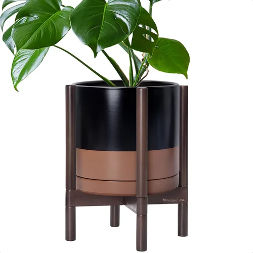 Vista 7 de D'vine Dev Maceta de cerámica con soporte de ébano – Maceta redonda moderna de 8 pulgadas con soporte para maceta de madera, color negro, 55-B-M-2
