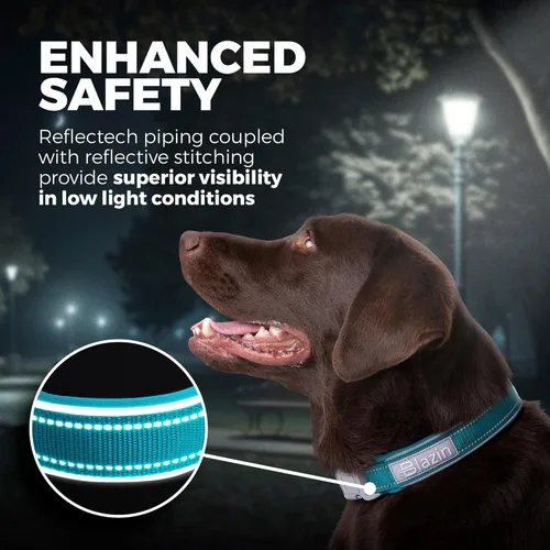 Vista 2 de BLAZIN Collar reflectante para perro con diseño de cierre de junta tórica para perros sensibles, acolchado de neopreno suave, collares para perros O