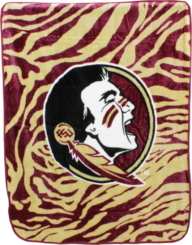 Vista 20 de College Covers Arkansas Razorbacks Raschel Manta de Tiro, 60 pulgadas por 50 pulgadas