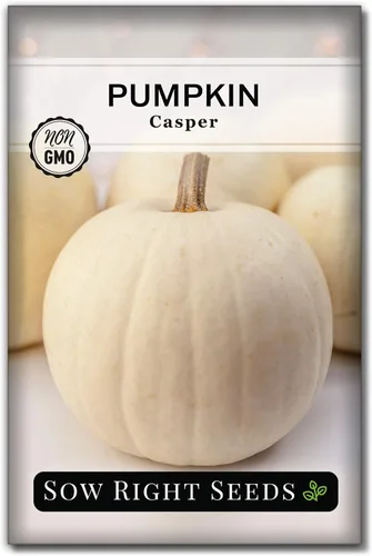 Sow Right Seeds - Semillas de calabaza Casper para plantar - Paquete de reliquia sin OMG con instrucciones para plantar un huerto casero - Variedad