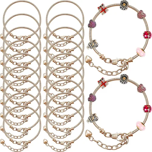 Vista 10 de Hicarer 30 cadenas de cadena con dije de serpiente de 7.87 pulgadas con extensor de cierre de langosta y corazón para mujeres, suministros de 2-Plata