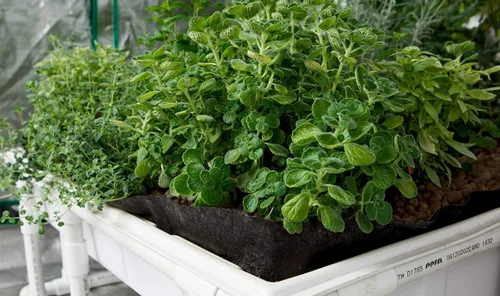 Vista 3 de Smart Pot Forro de bandeja, inundación de cama elevada, 4 pies x 8 pies (48 pulgadas x 96 pulgadas)