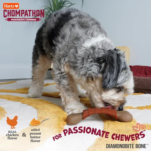 Vista 3 de Hartz Chompathon Diamondbite - Juguete masticable para perros masticadores agresivos, doble capa con sabor a pollo y mantequilla de maní