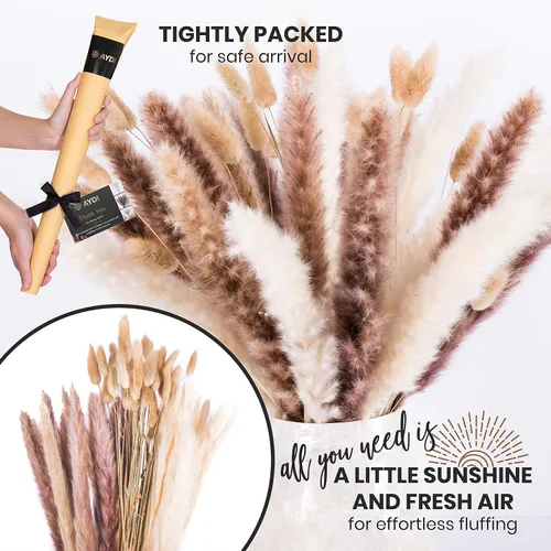 Vista 6 de Decoración de hierba seca de las pampas, 60 piezas de pampa marrón natural, hierba de pampa blanca y colas de conejo, flores secas, decoración