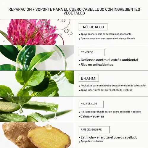 Vista 6 de ACTIIV Recover - Paquete de champú y acondicionador espesante para mujer