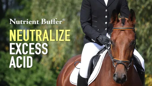 Vista 4 de (1 galón) Alivio de úlcera y ácido, ayuda digestiva, soporte gástrico superior, remedio cólico