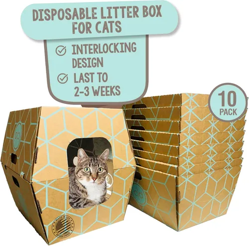 Cats Desire - 10 bandejas, cajas de arena desechables para gatos grandes sin plástico caja de arena para gatos - Estados Unidos, bandeja de 19