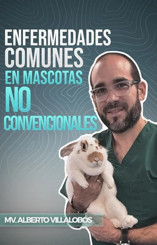 Enfermedades comunes en mascotas no convencionales (Spanish Edition)