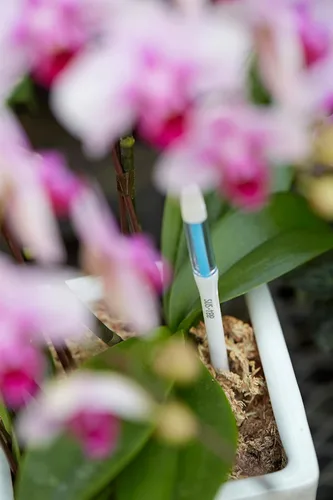 Vista 9 de Sustee Aquameter, White, Medium -Soil Moisture Meter for Potted Plants - Plant Water Sensor (Refillable Style)