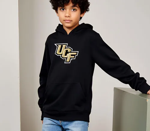 Vista 2 de Wes and Willy Sudadera con capucha de algodón orgánico con logotipo de equipo universitario