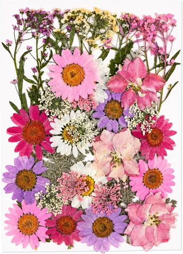 Vista 13 de 80 piezas de flores prensadas para resina con pinzas curvadas 80 piezas multicolor surtidas