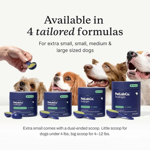 Vista 4 de PetLab Co. ProBright Polvo Dental - Refrescante del Aliento para Perros - Limpieza de Dientes Hecha Fácil - Combate el Sarro y el Mal Aliento