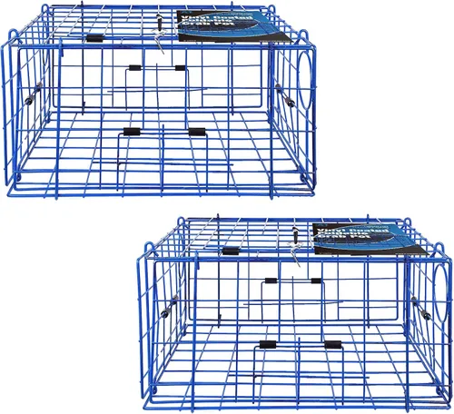 Pacific - Trampa plegable para cangrejos, alambre de acero recubierto de vinilo, 24 x 24 x 12 pulgadas, 2 unidades para Dungeness