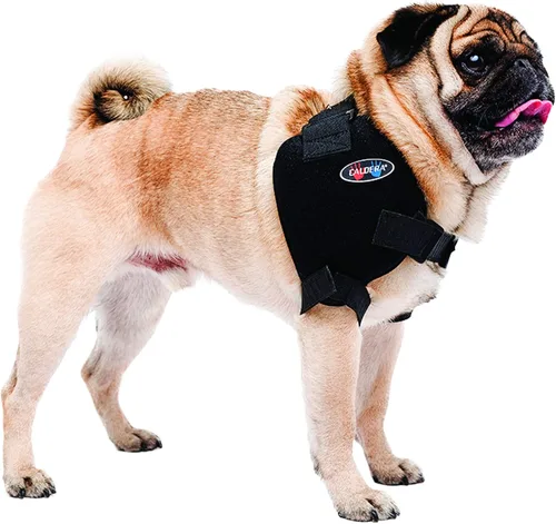 Vista 6 de Caldera Pet Therapy - Carpal/codo universal con gel, pequeño, color negro (PET105)