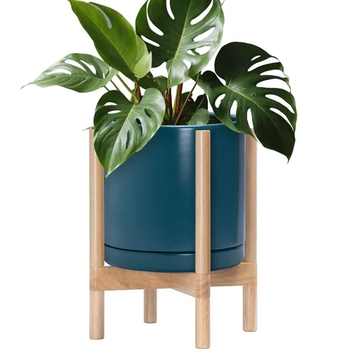 Vista 92 de D'vine Dev Maceta de cerámica con soporte de ébano – Maceta redonda moderna de 8 pulgadas con soporte para maceta de madera, color negro, 55-B-M-2